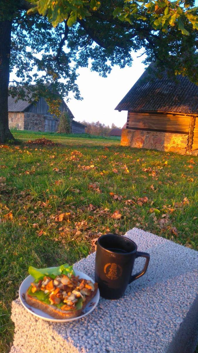 22068992_10214444815463596_498736264_o