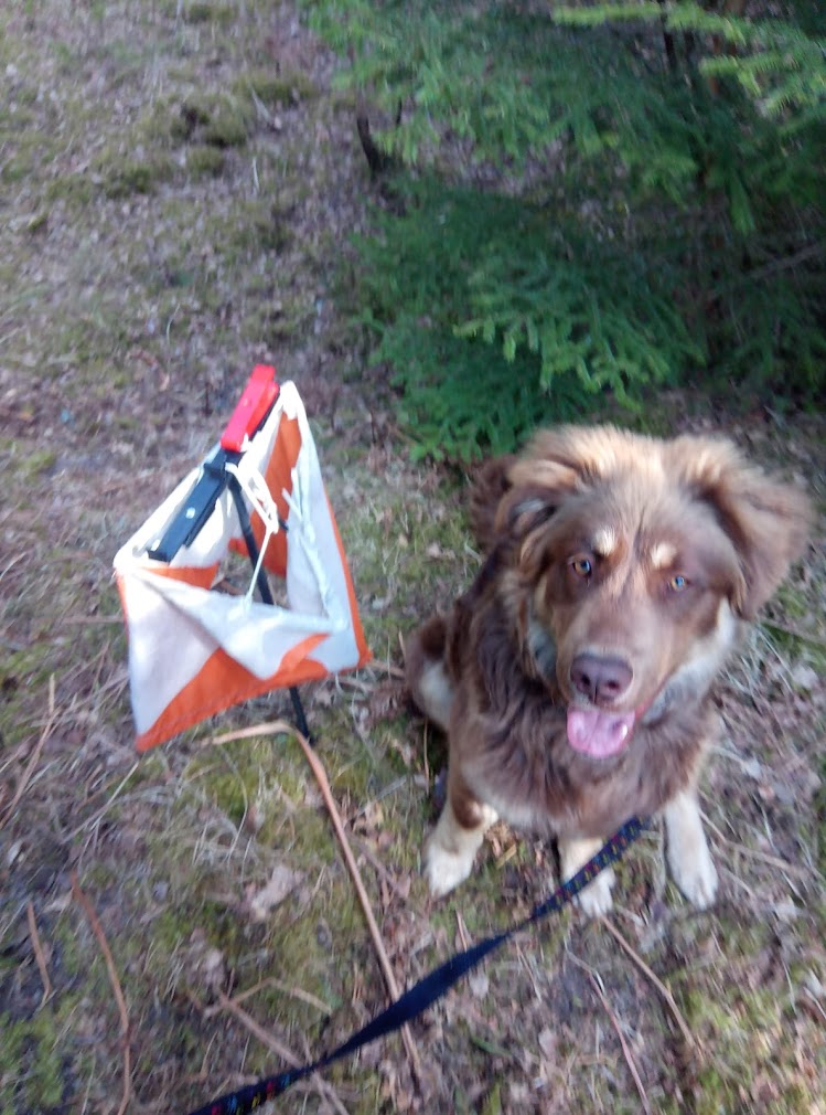 orienteerumas punkti juures istub ja saab maiust